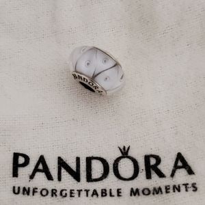 Pandora Murano Glass Charm